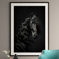 Black Arabian Horse Art Print - Stallion Portrait