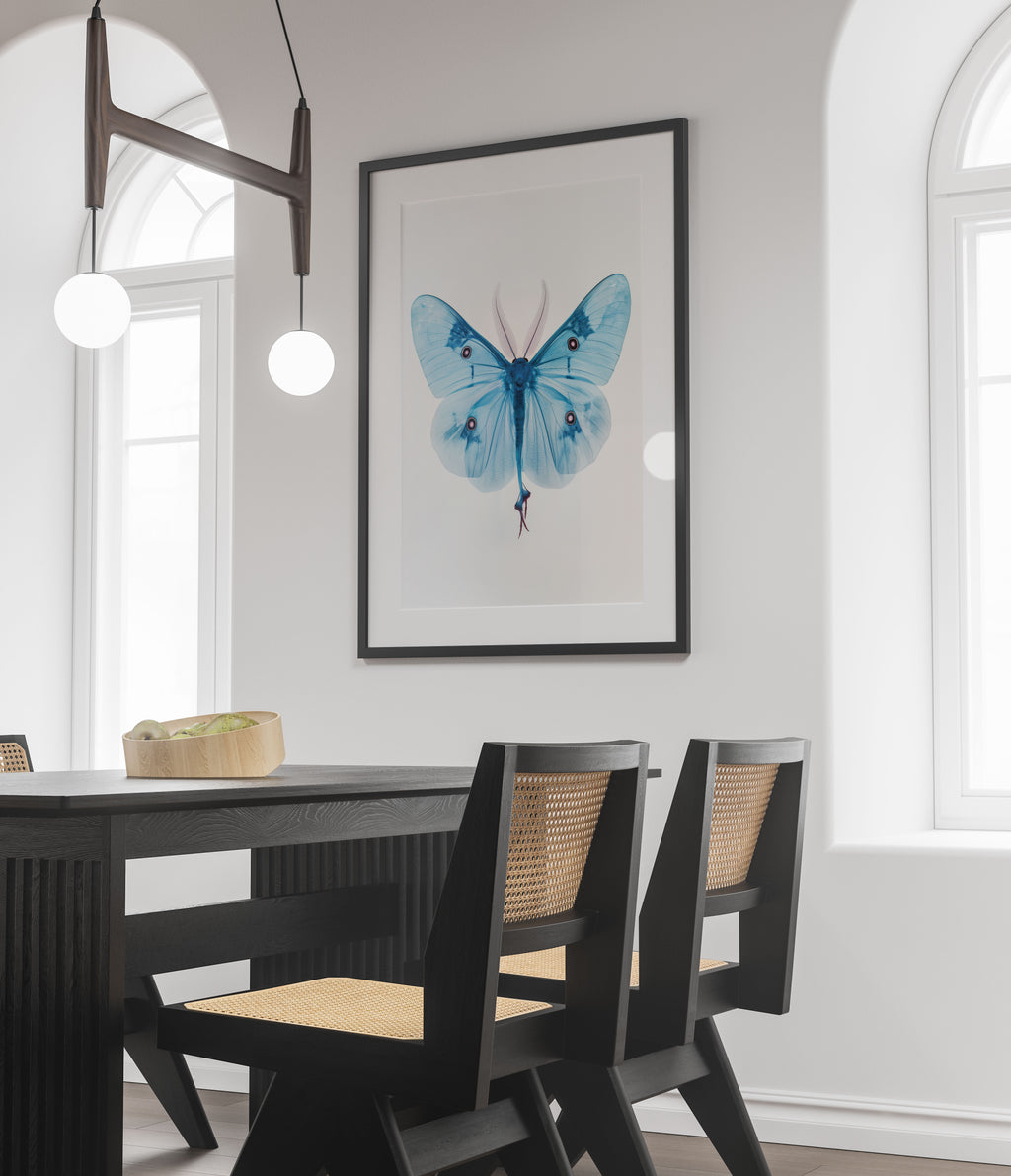 X-Ray Luna Moth Art Print - Ethereal Beauty - Insect Wall Art