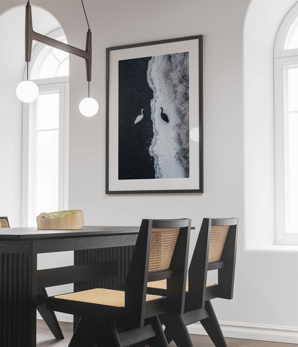 Black White Swan Ice Reflection Art Print – Minimalist Yin Yang Wall Decor