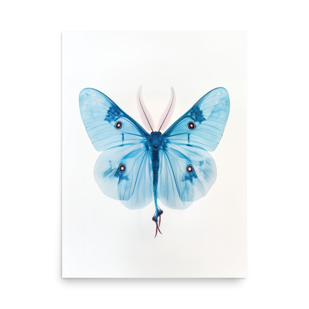 X-Ray Luna Moth Art Print - Ethereal Beauty - Insect Wall Art